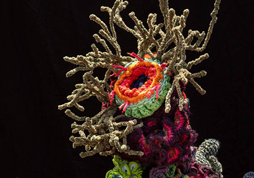 Crochet – Coral Reef