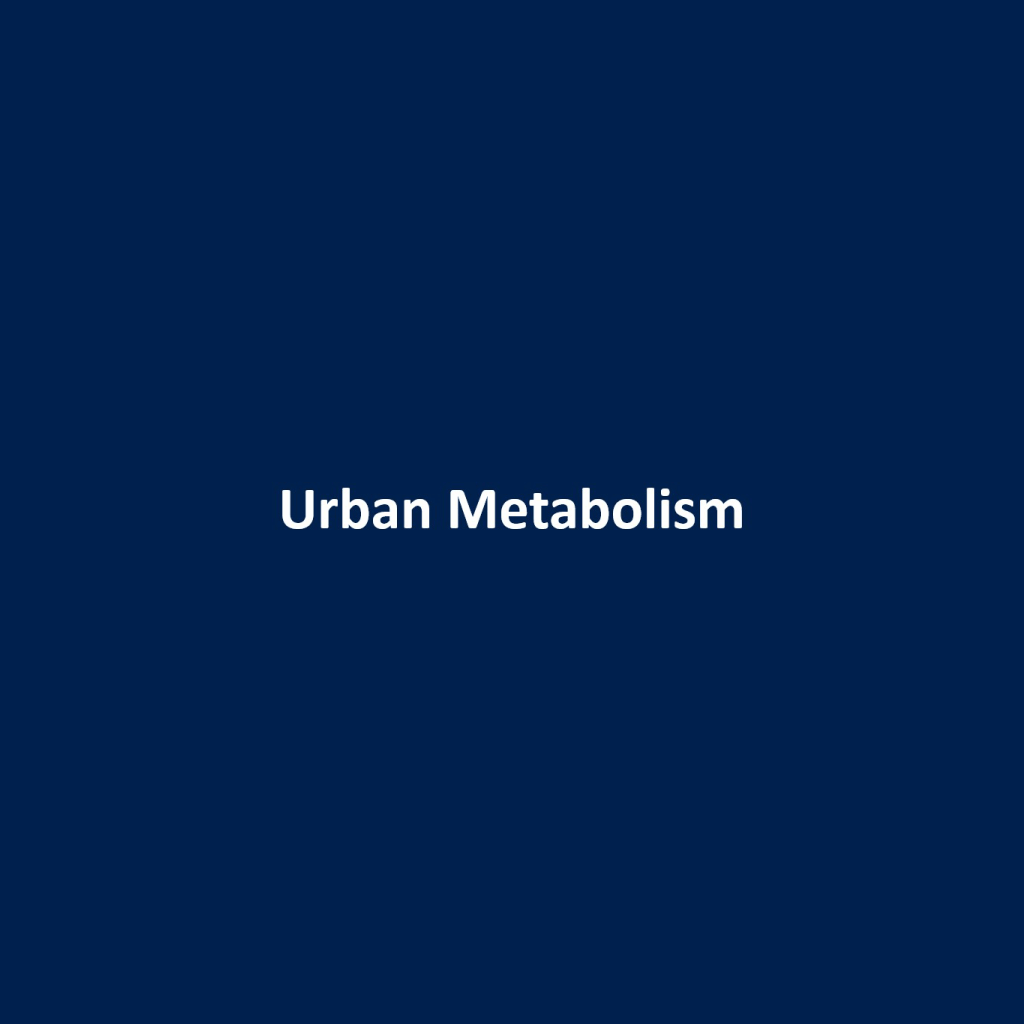 urban_metabolism