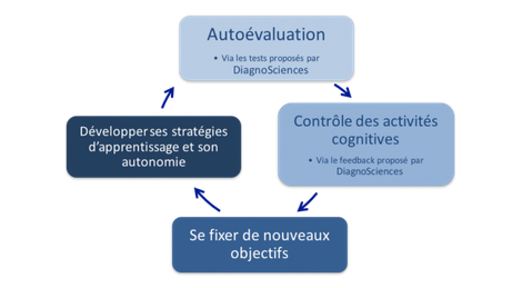 test de diagnosciences